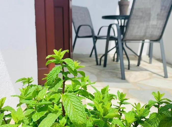 Skopelos * סטפילוס